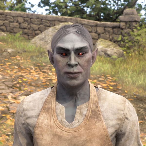 File:OBR-npc-Eronor 02.jpg