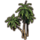 ON-icon-furnishing-Trees, Towering Palm Cluster.png