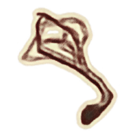 OBR-icon-ingredient-Harrada.png