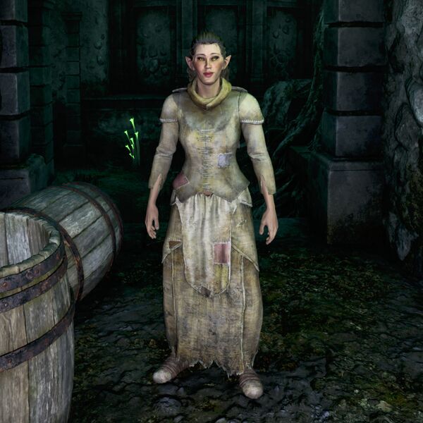 File:OBR-npc-Cutter.jpg