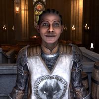 OBR-npc-Tierra 02.jpg