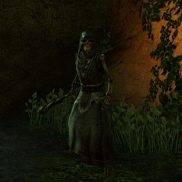 File:ON-npc-Blackheart Frightener (undead).jpg