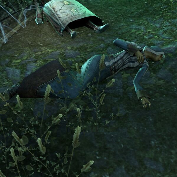 File:ON-npc-Journeyman Mirondil (dead).jpg