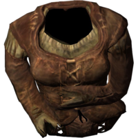 SR-icon-clothing-Clothes2(f).png