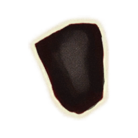 OBR-icon-clothing-Necromancer's Hood.png