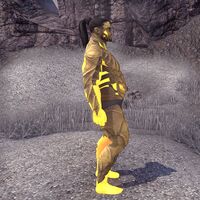 ON-skin-Blaze of Akatosh (male) 02.jpg