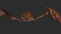 SR-creature-Emperor Crab.jpg