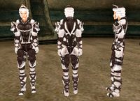 BM-item-Snow Wolf Armor Female.jpg