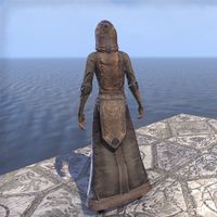 ON-costume-Bloodthorn Robes (back).jpg
