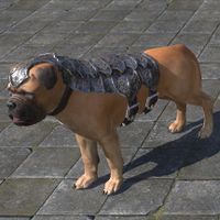 ON-furnishing-Alliance War Dog (Dominion).jpg