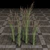 ON-furnishing-Grass, Wispy Plume Cluster.jpg
