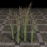ON-furnishing-Grass, Wispy Plume Cluster.jpg
