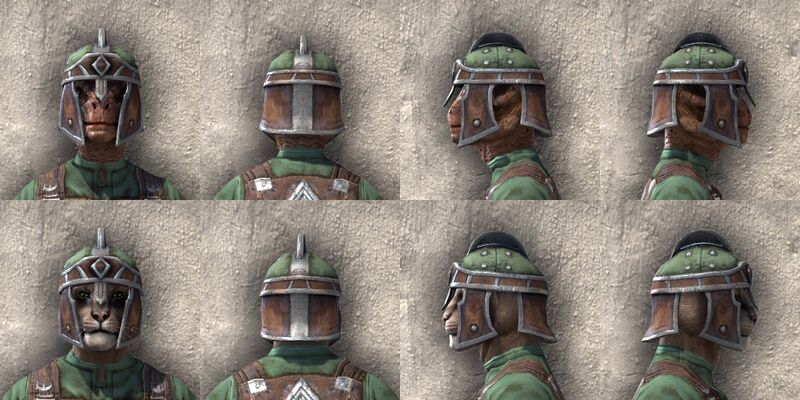 File:ON-item-armor-Imperial Medium 1 Beast Races.jpg