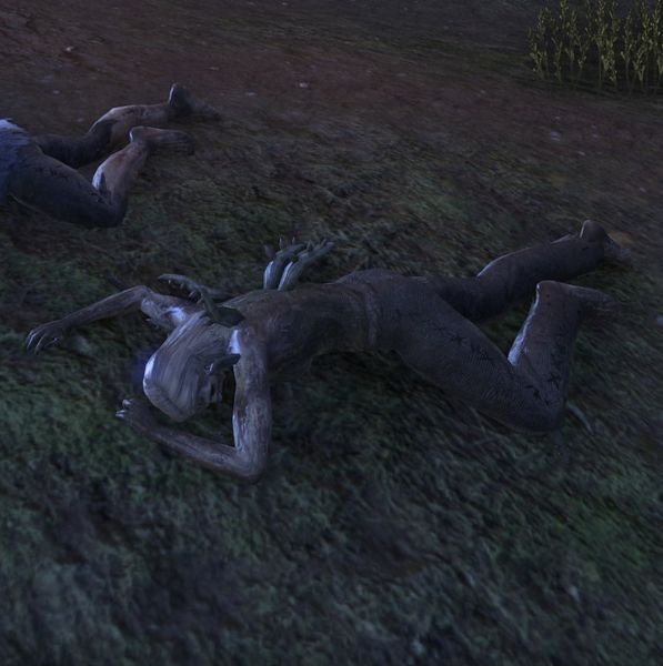 File:ON-npc-Bloodthorn Zombie(dead).jpg