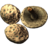 SR-icon-ingredient-Scaly Pholiota.png