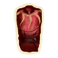 OBR-icon-clothing-Mythic Dawn Robe.png