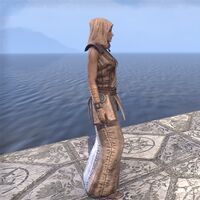ON-costume-Courier Uniform (side).jpg