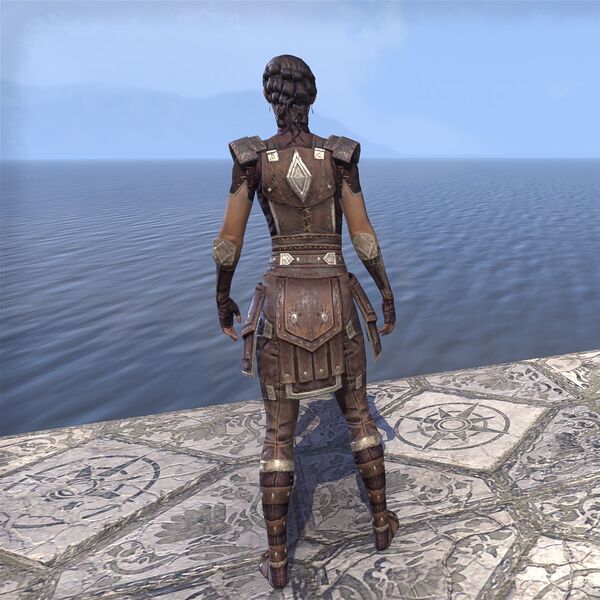 File:ON-costume-Seventh Legion Armor (back).jpg