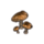 ON-icon-furnishing-Mushrooms, Volcanic Cluster.png