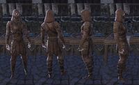 ON-item-armor-Akaviri Jerkin-Male 03.jpg