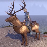 ON-mount-Spiritwalker Pillion Elk 02.jpg