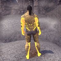 ON-skin-Blaze of Akatosh (male) 03.jpg