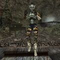 Thumbnail for version as of 13:29, 21 February 2022