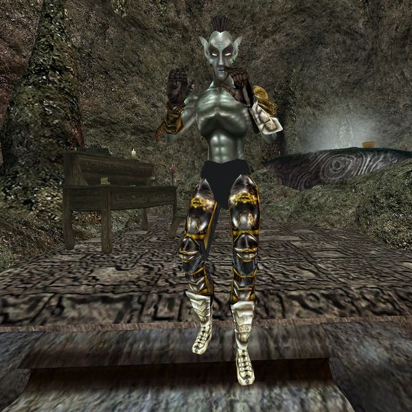 File:TR3-npc-Akavorioc.jpg