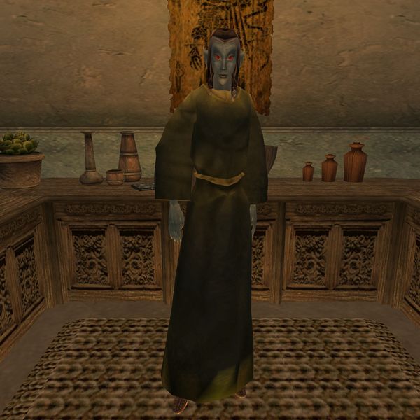 File:TR3-npc-Irvama Raledran.jpg