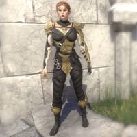 ON-costume-10-Year Anniversary Elven Hero (female).jpg