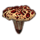 ON-icon-furnishing-Toadstool, Bloodtooth.png