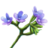 ON-icon-reagent-Bugloss.png