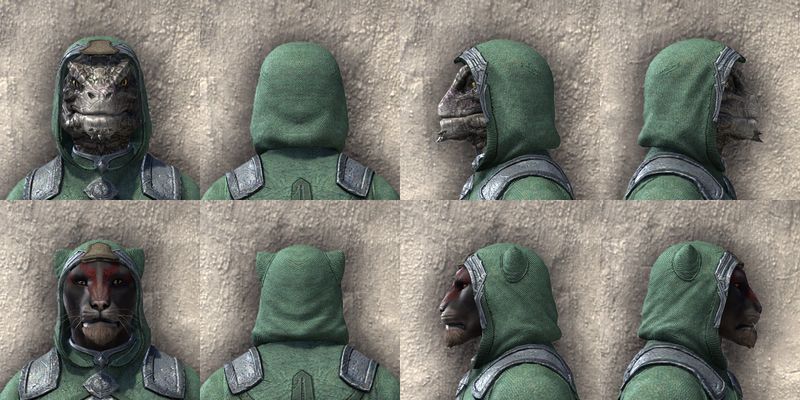 File:ON-item-armor-Monolith of Storms Beast Races.jpg