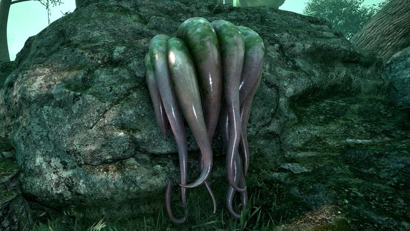 File:OBR-flora-Swamp Tentacle.jpg