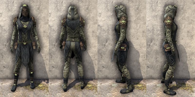 File:ON-item-armor-Reawakened Hierophant Female.jpg