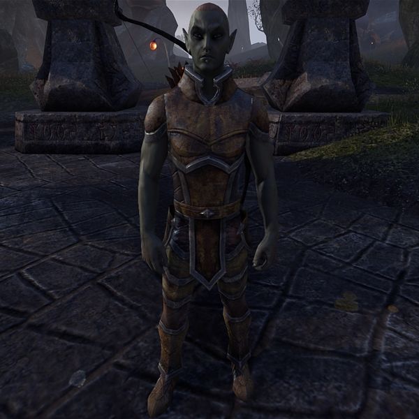 File:ON-npc-Hlaalu Archer 01.jpg