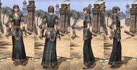 ON-item-armor-Linen-Robe-Nord-Female.jpg