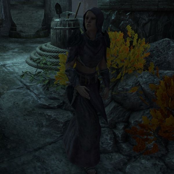 File:ON-npc-Recollection Soldier (female).jpg