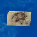 Thumbnail for version as of 01:35, 22 April 2025