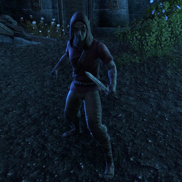 File:ON-npc-Tervur Sadri (hostile).jpg