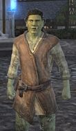 Male Orc