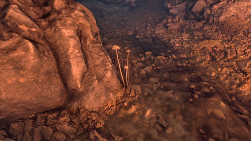 File:OBR-flora-Wisp Stalks.jpg