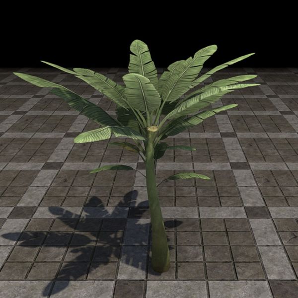 File:ON-furnishing-Tree, Banana.jpg