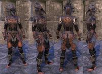 ON-item-armor-Crowborne Hunter.jpg