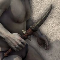 ON-item-weapon-Barbaric Dagger 1.jpg