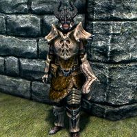 SR-item-Dragonplate Insulated Armor Female.jpg