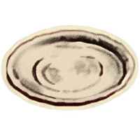 OBR-icon-dish-Silver Plate.png