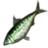 ON-icon-fish-Green Shad.png