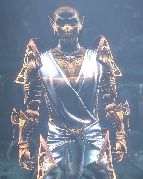 File:ON-npc-Nilphas Drethan's Security Logs.jpg