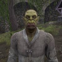 OBR-npc-Maknok gro-Coblug 02.jpg